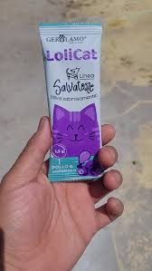 Gerolamo Salvatore LoliCat Sabor Pollo y Arandanos 15 Unidades